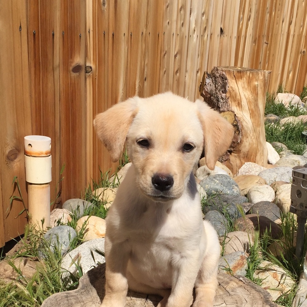 Meet your Posher, Marin